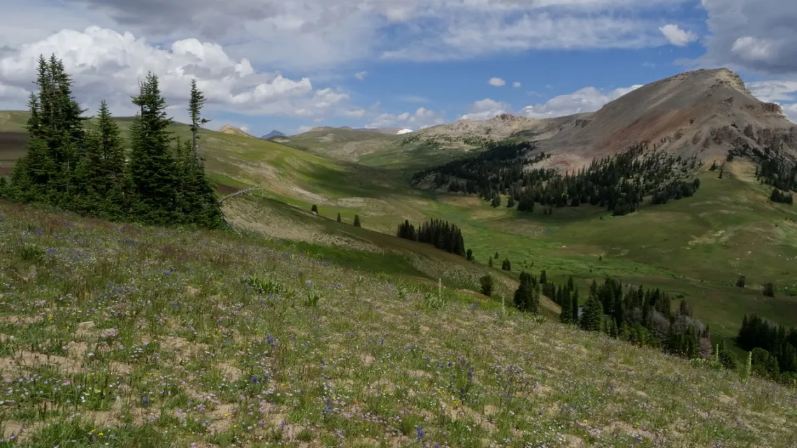 Looking north from Clay Butte. Beartooth Butte on the right