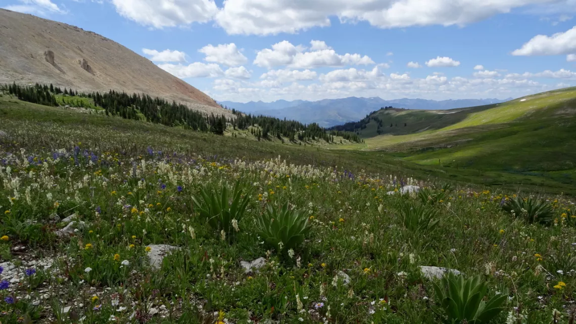 Beartooth Butte on the left. Clay Butte is right of center.