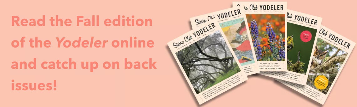 Read the Fall edition of the Yodeler online and catch up on back issues!