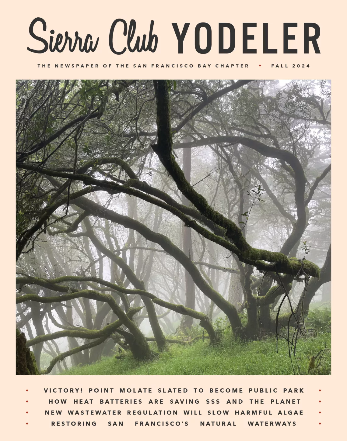 Fall Yodeler cover with trees in the fog