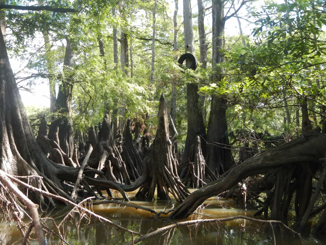 Vestige of Past Floods