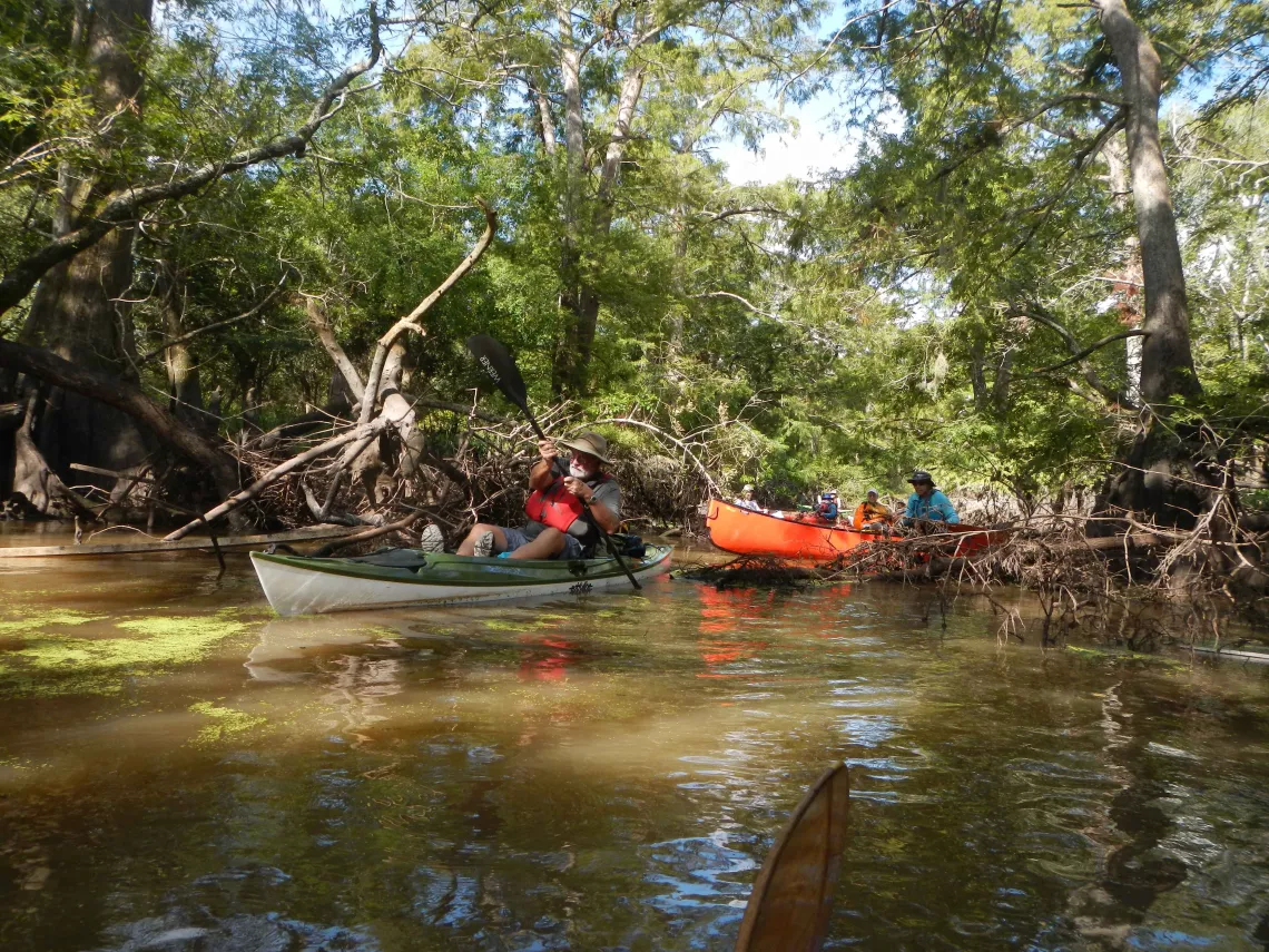 Through the First Logjam