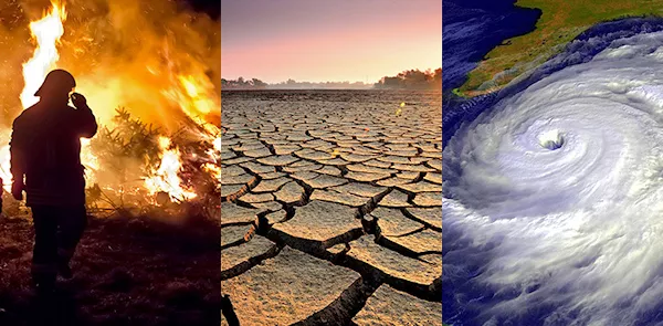 Climate change effects