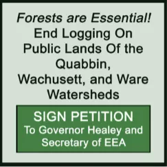 Sign the petition to Governor Healey and the Secretary of EEA