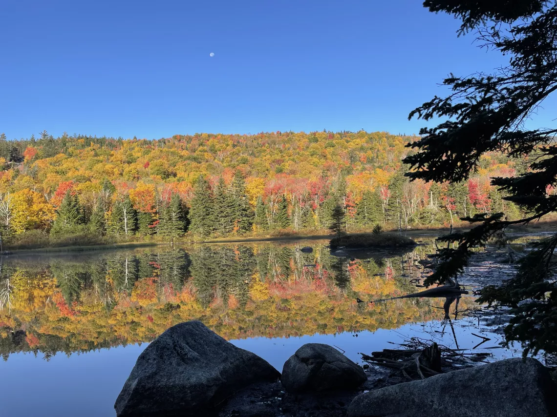 A forest with Fall color reflected on a lake with a bright blue sky above