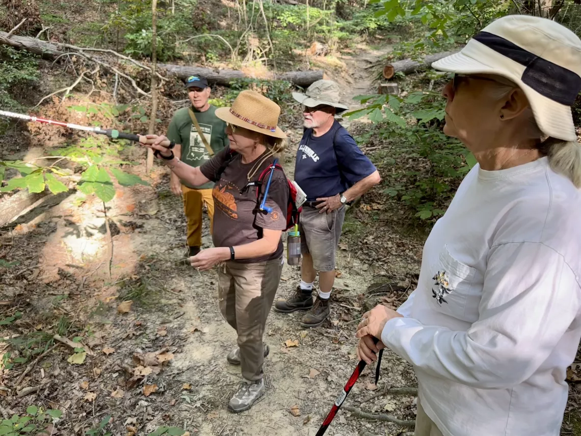 Four people on a hike looking at the trees and plants on the pathway. One of them is pointing with a hiking stick at a plant out of view. 