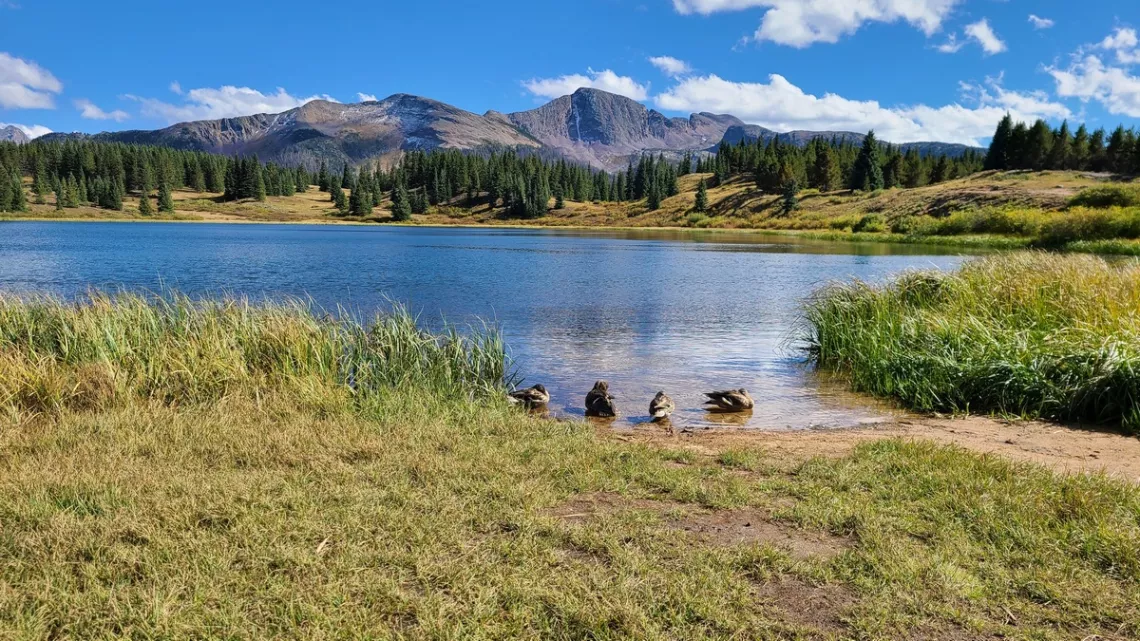 Little Molas Lake