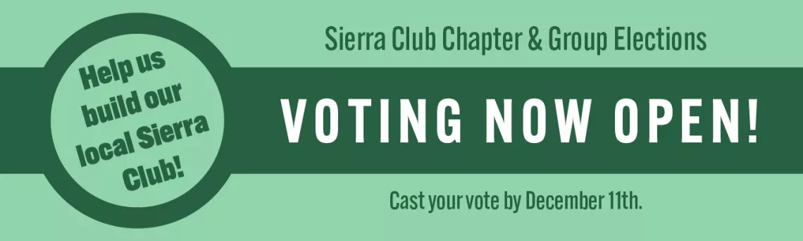 Voting Now Open! Cast your vote by Dec 11.