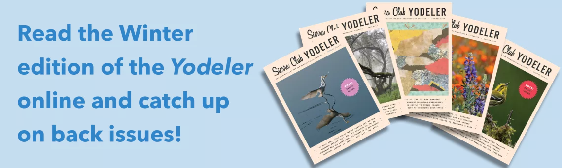 Read the Winter edition of the Yodeler online and catch up on back issues!