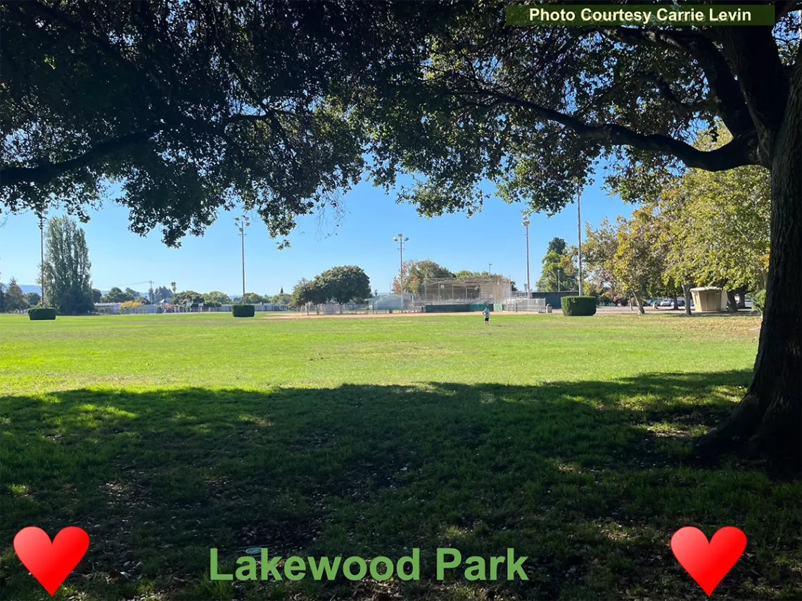 Grass field at Lakewood Park, Sunnyvale, CA