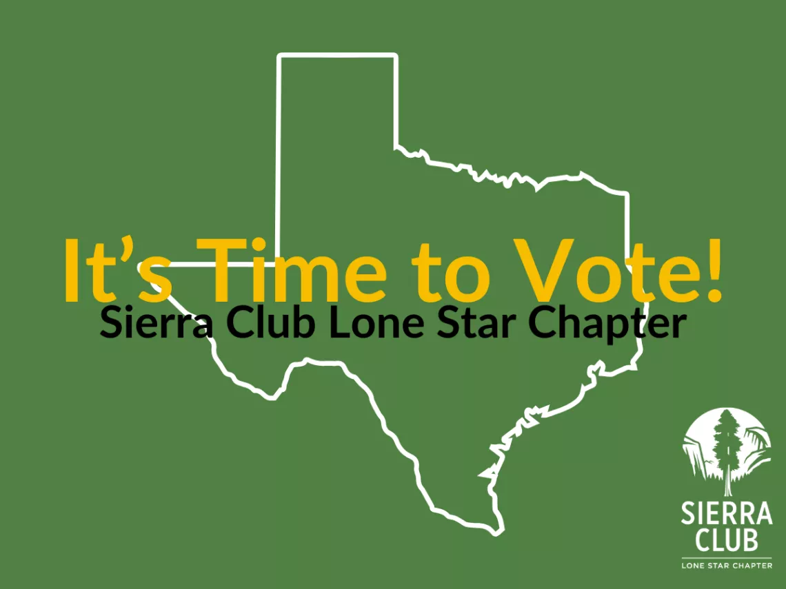 green image with texas outline and text saying it's time to vote