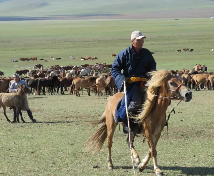 Mongolia