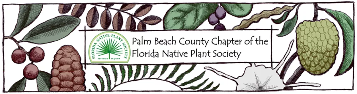 Palm Beach Native Plant Society logo