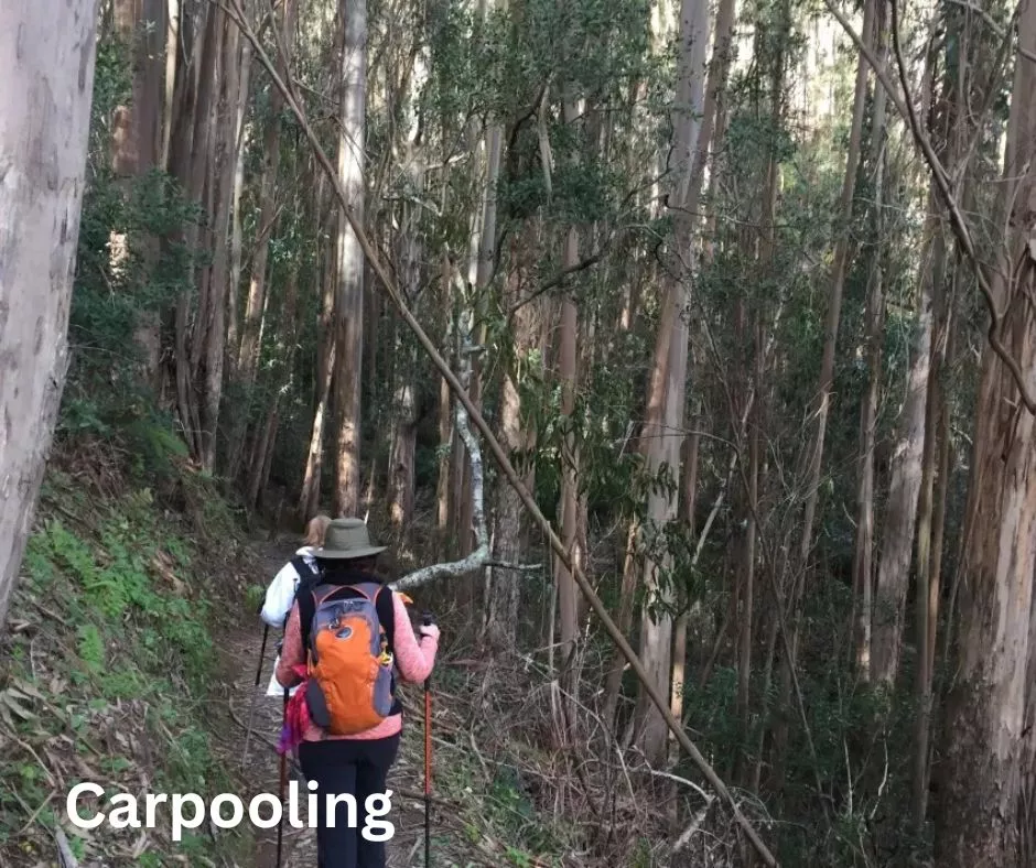 Hikers in forest, text Carpooling