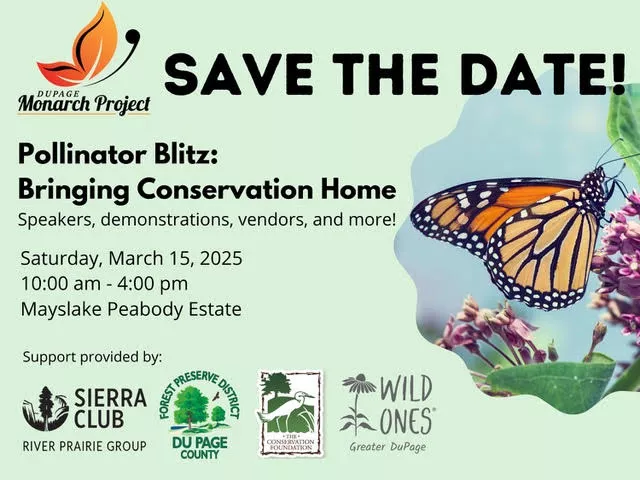 PollinatorBlitz