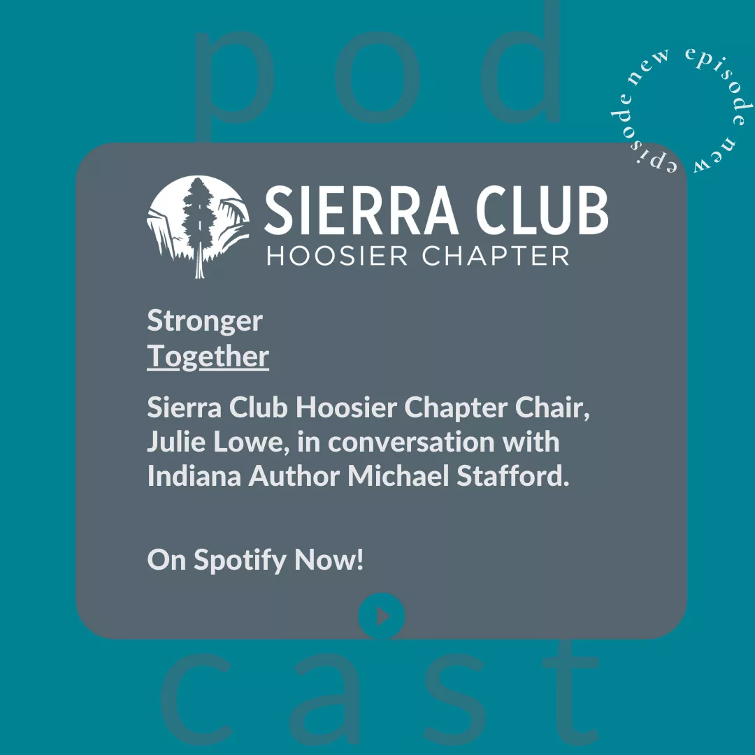 Stronger Together Podcast Chapter Chair, Julie Lowe interview in conversation with Indiana Author, Michael Stafford..png