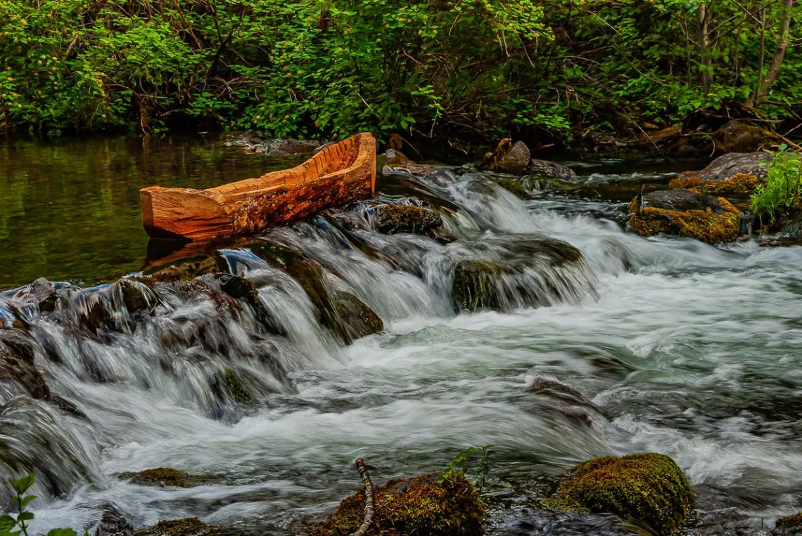 canoe river national forest-Paul Halliday-2011-digital only no resale.jpg