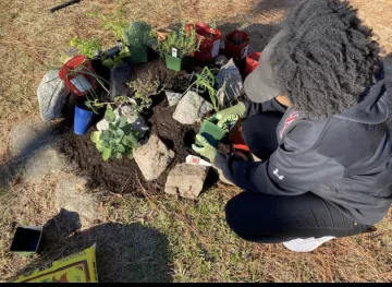 Student bending down to the side of rocks in spiral on the ground to create the herb spiral