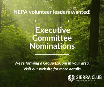A graphic with a forest in the background and white text, "NEPA volunteer leaders wanted! | Executive Committee Nominations | We're forming a Group ExCom in your area. Visit our website for more details" and the Sierra Club Pennsylvania logo in the bottom right.