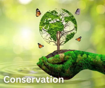 Conservation