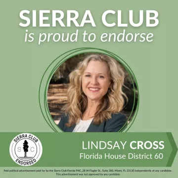 Lindsay Cross Endorsed