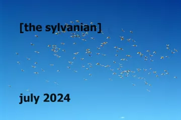 Flock of birds in a deep blue sky