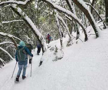 Hikers in snow-covered landscape, some using poles
