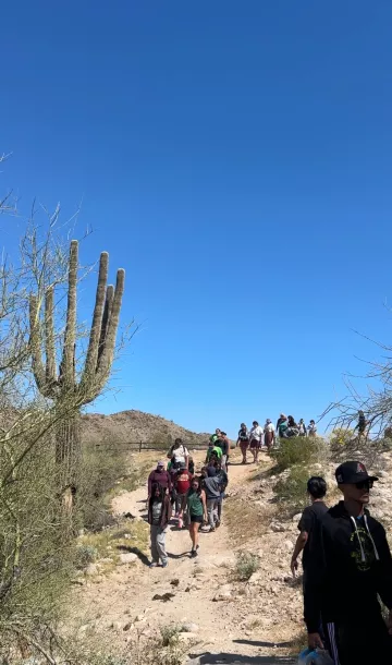A group of hikers walking along a rocky path and a giant saguaro cactus standing nearby