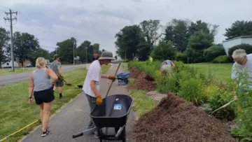 Four people working on a pollinator path. One person is by a wheelbarrow.