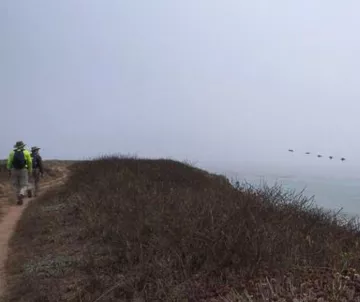 2 hikers walking along coastal bluff, ocean on right with 5 pelicans