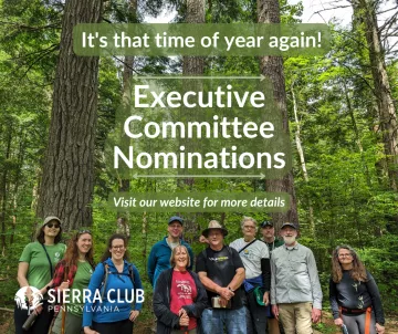 Sierra Club staff and volunteer leaders stand under tall pine trees. White text reads "It's that time of year again! Executive Committee Nominations. Visit our website for more details."