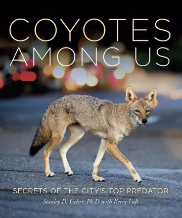 Coyotes Among Us