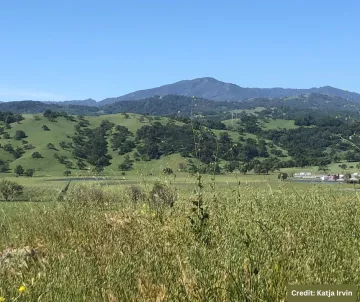 Coyote Valley