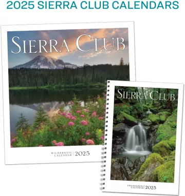 2025 Calendars