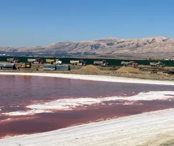 Levee construction at Alviso