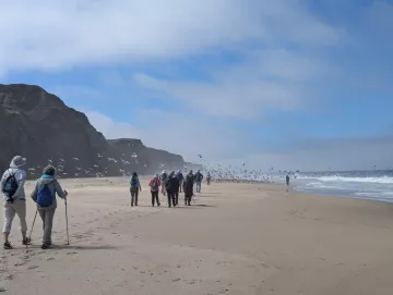 Beach Hike