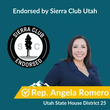 Vote For Rep. Angela Romero