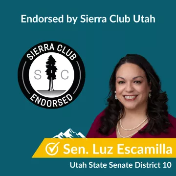 Vote For Luz Escamilla