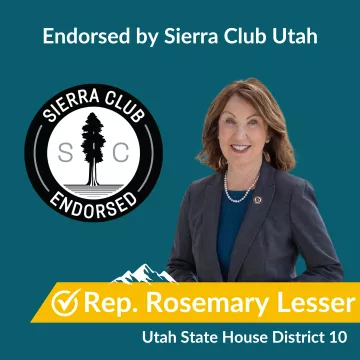 Vote For Rep. Lesser