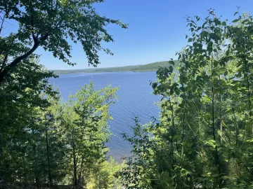 Wachusett reservoir through some tree