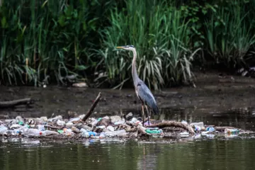 Maryland needs a bottle bill in 2025