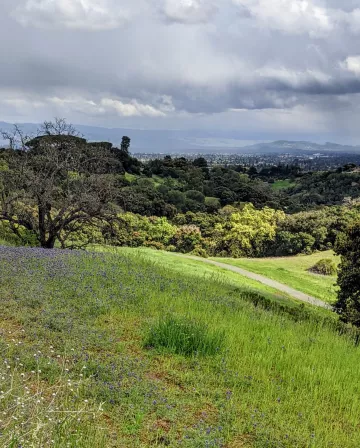 Ridge in Spring