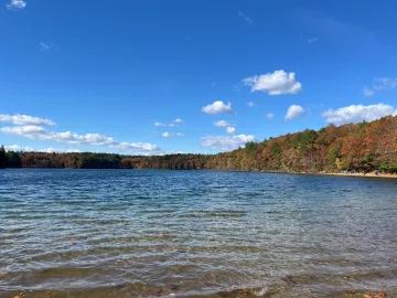 Walden pond by Tyler Aprati