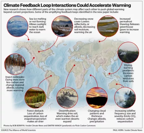 Climate Feedback Loop Interactions