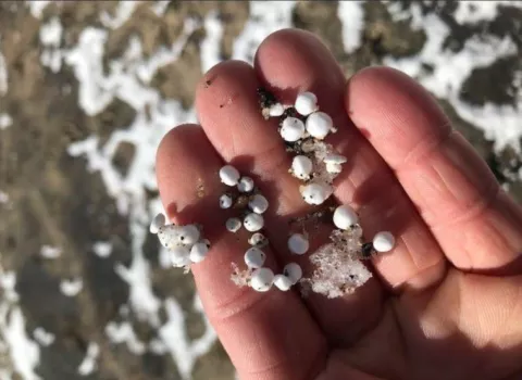 Styrofoam beads found washed up on a Lake Tahoe beach. 