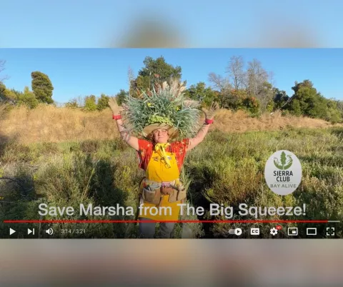 Save Marsha from the Big Squeeze