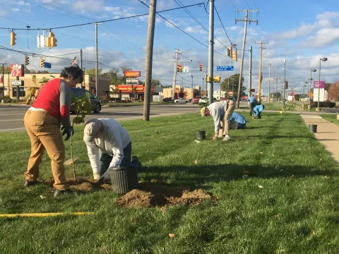 tree planting