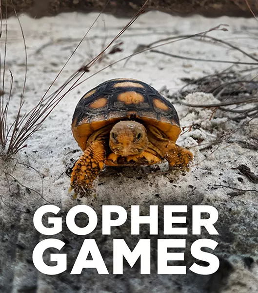 Tortoise in the sand and movie title Gopher Games