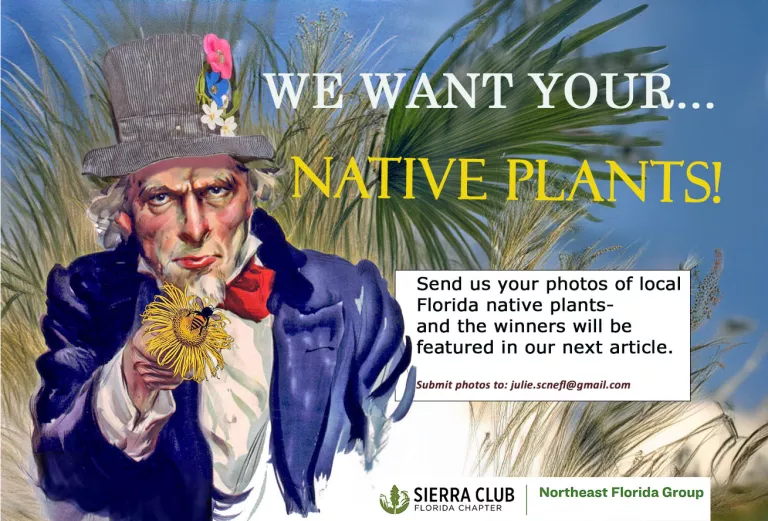 Flyer about a Native Plant Photo competition. Uncle Sam pointing a flower, wearing a gardening hat. 