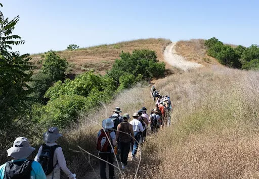 30x30 Sierra Club Hike at Elephant Hill